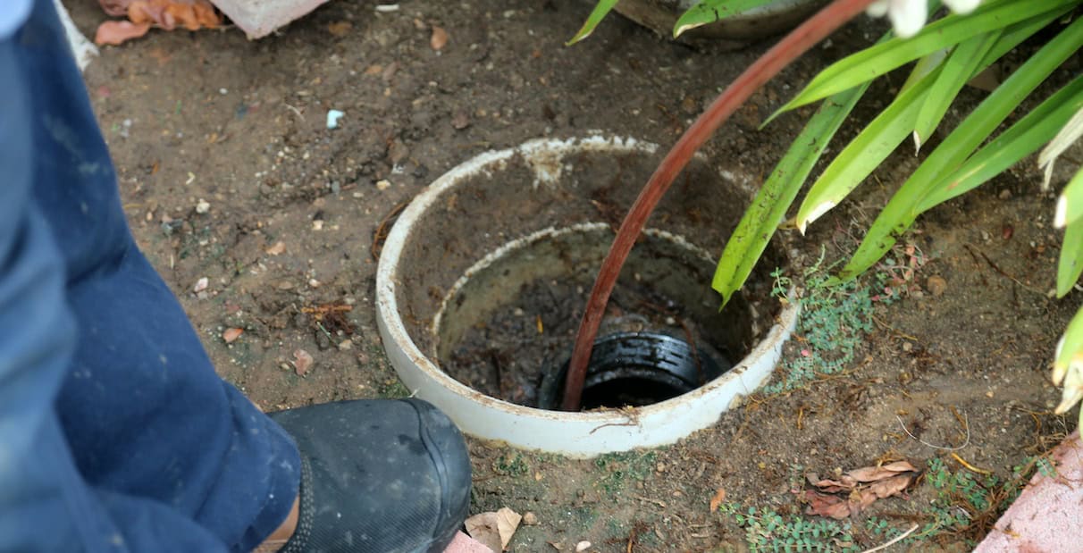 Signs Your Sewer Line Needs Repair
